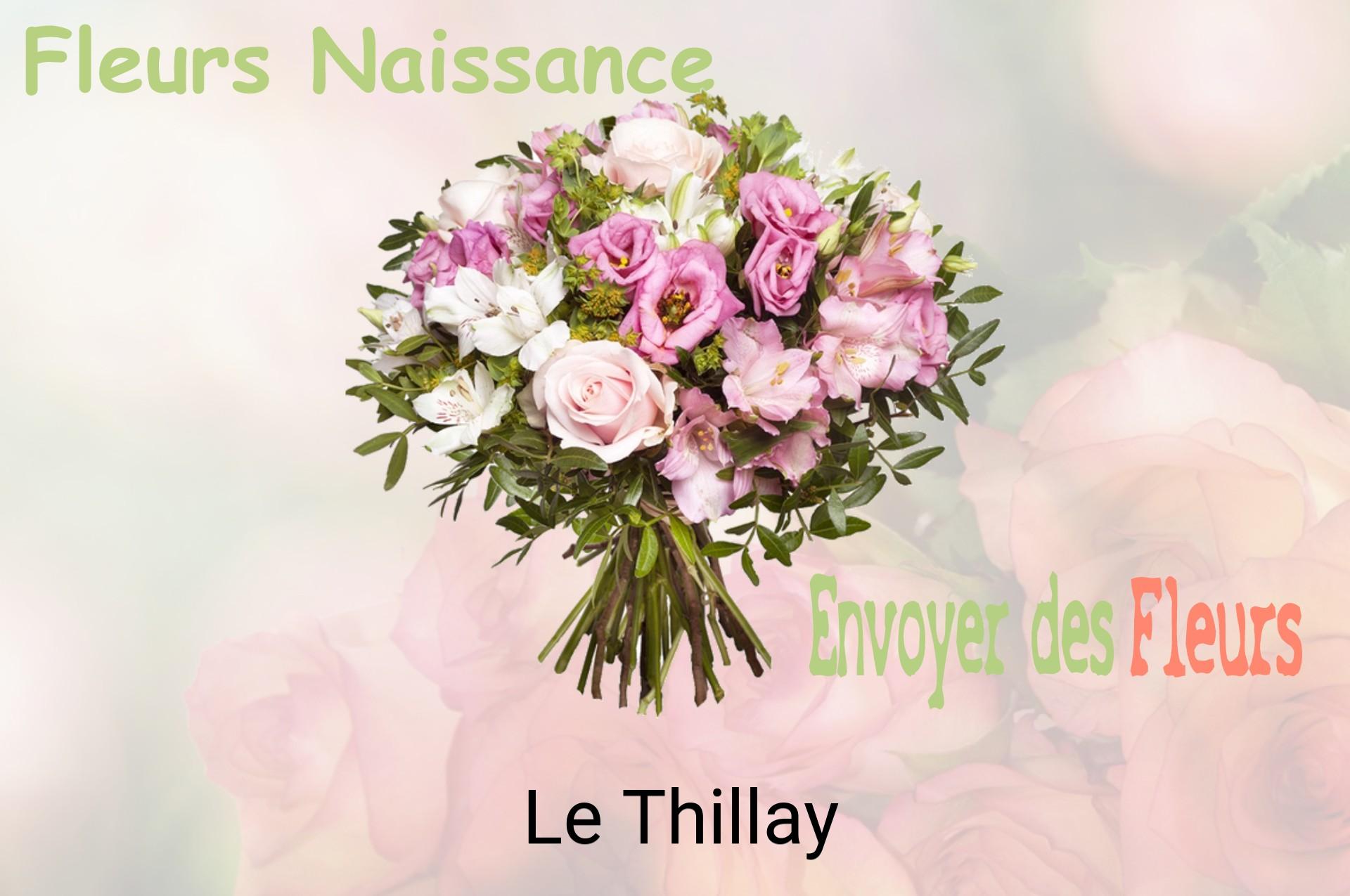 Bouquet de fleurs de naissance livré à Le Thillay